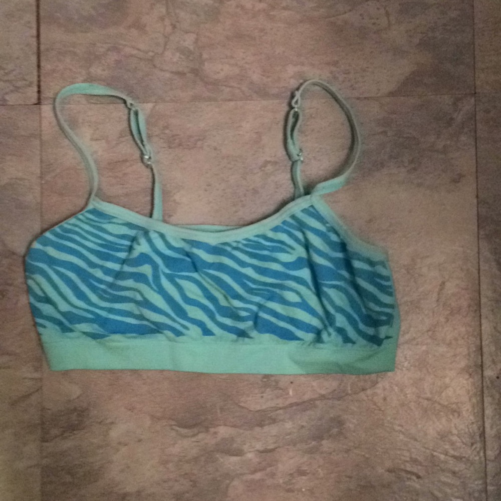 Blue zebra training bra